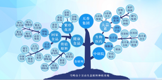 市委常委、組織部部長、統戰部部長龔紅果蒞臨天香生物調研