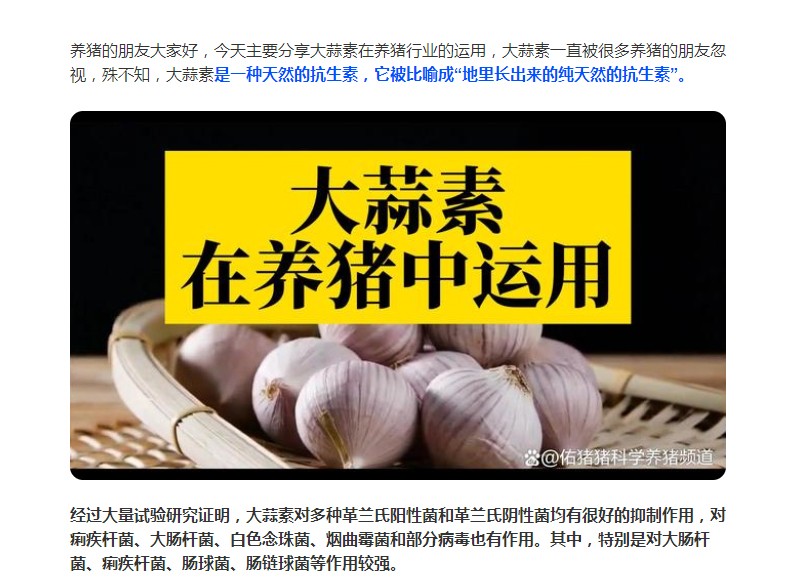 大蒜素在養(yǎng)豬行業(yè)的運(yùn)用，您了解多少？